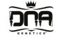 (image for) DNA Genetics