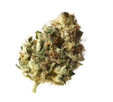 (Bild für) Kosher Choco Kush Feminised Seeds