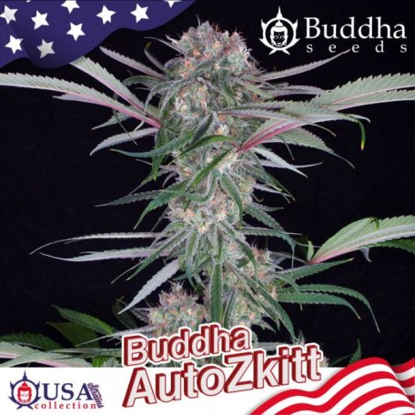 (Bild für) Buddha Zkittlez Auto Feminised Seeds