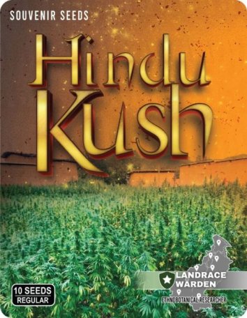 (image for) Hindu Kush Regular Seeds