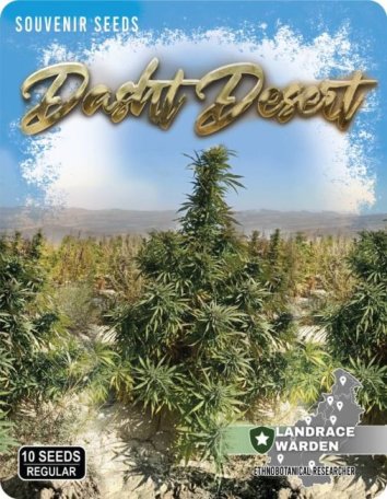 (image for) Dasht Desert Regular Seeds
