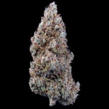 (Bild für) Crème Bubbly Auto Feminised Seeds