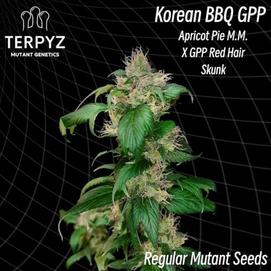 (image for) Korean BBQ GPP Regular Seeds