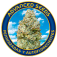 (image for) Advanced Seeds