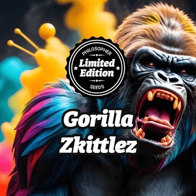 Gorilla Zkittlez Feminised Seeds