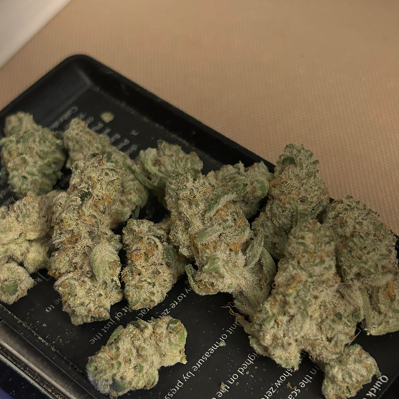 Cap Junky von Capulator und Seed Junky Genetics aus Alien Cookies und Kush Mints